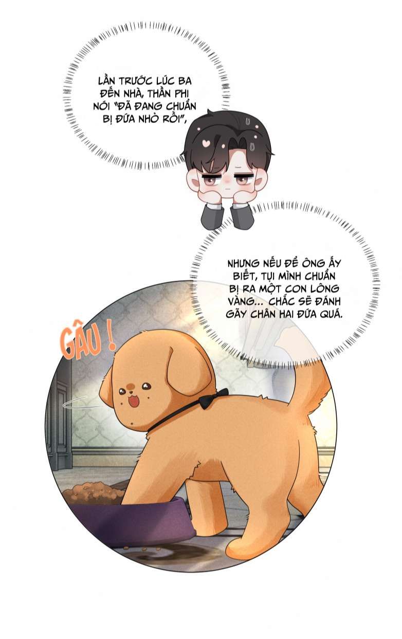 page_29