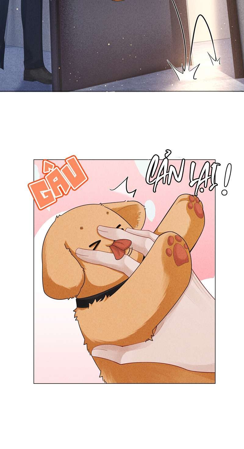 page_16