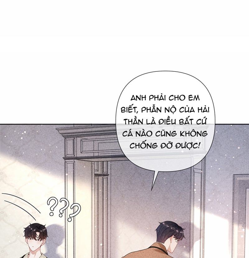 page_31