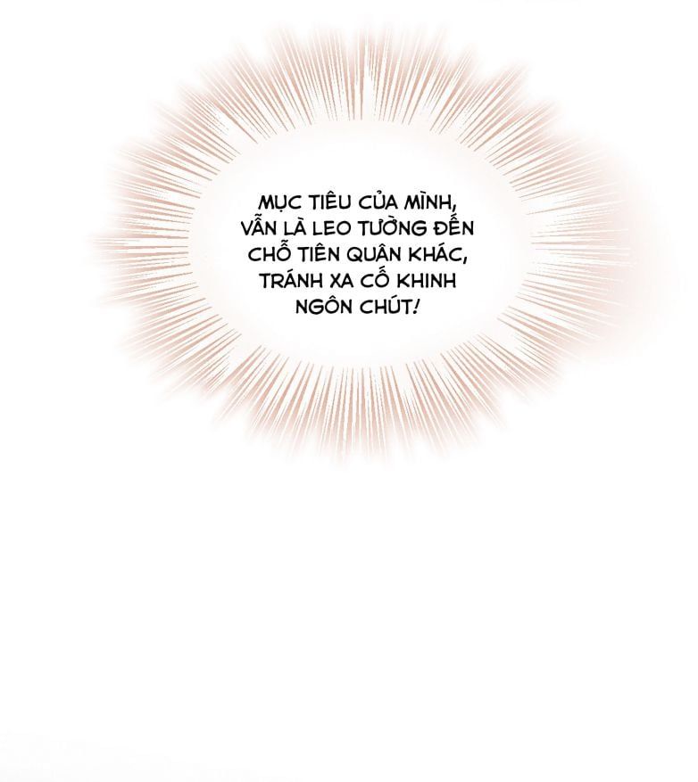 page_36