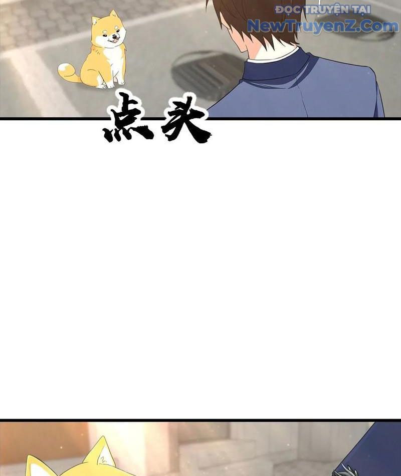 page_31