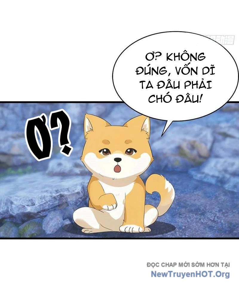 page_51