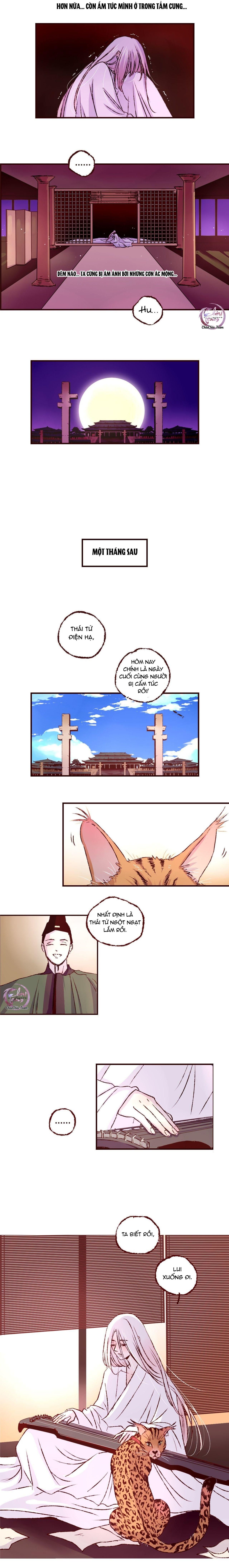 page_5