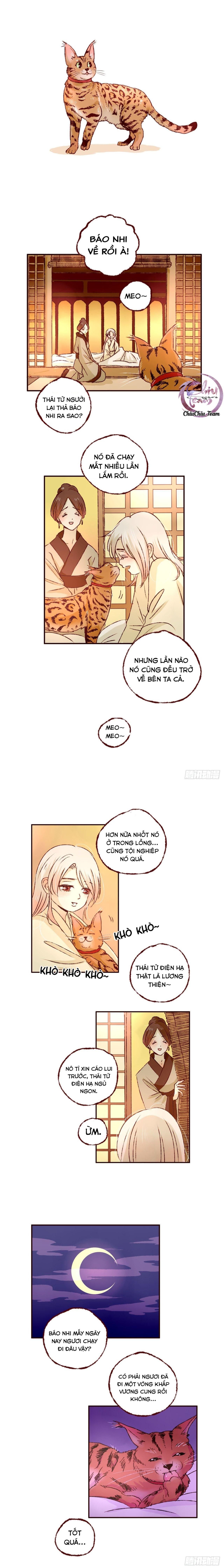 page_4
