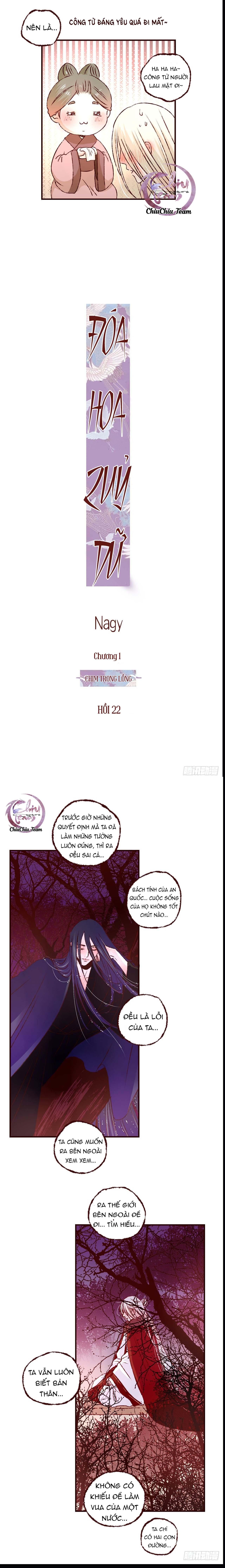 page_5