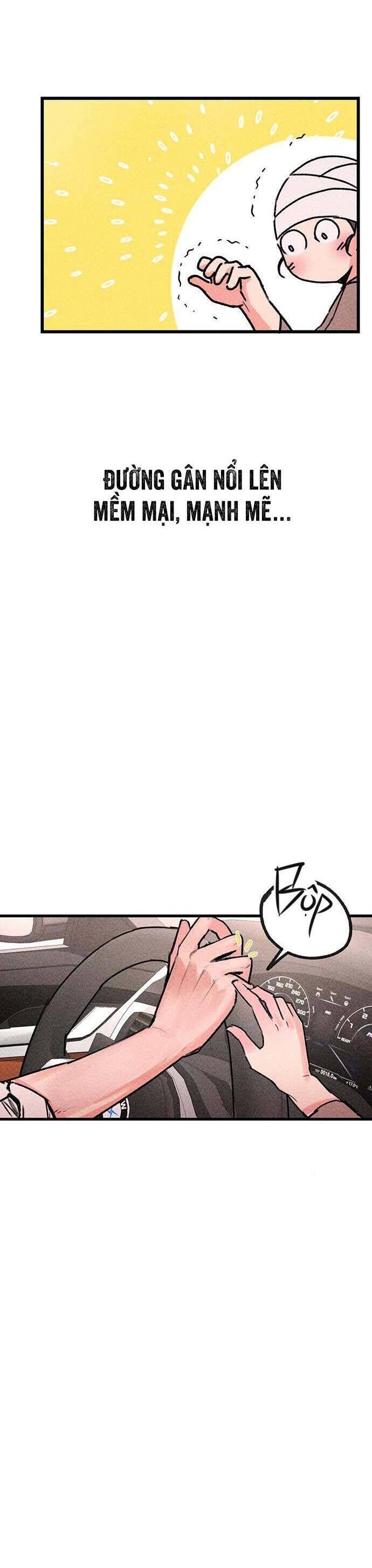 page_29