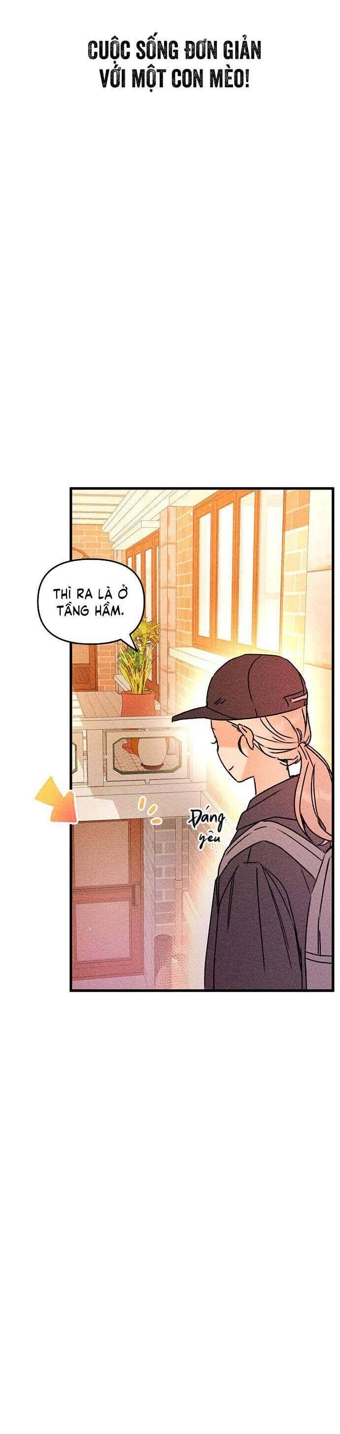 page_54