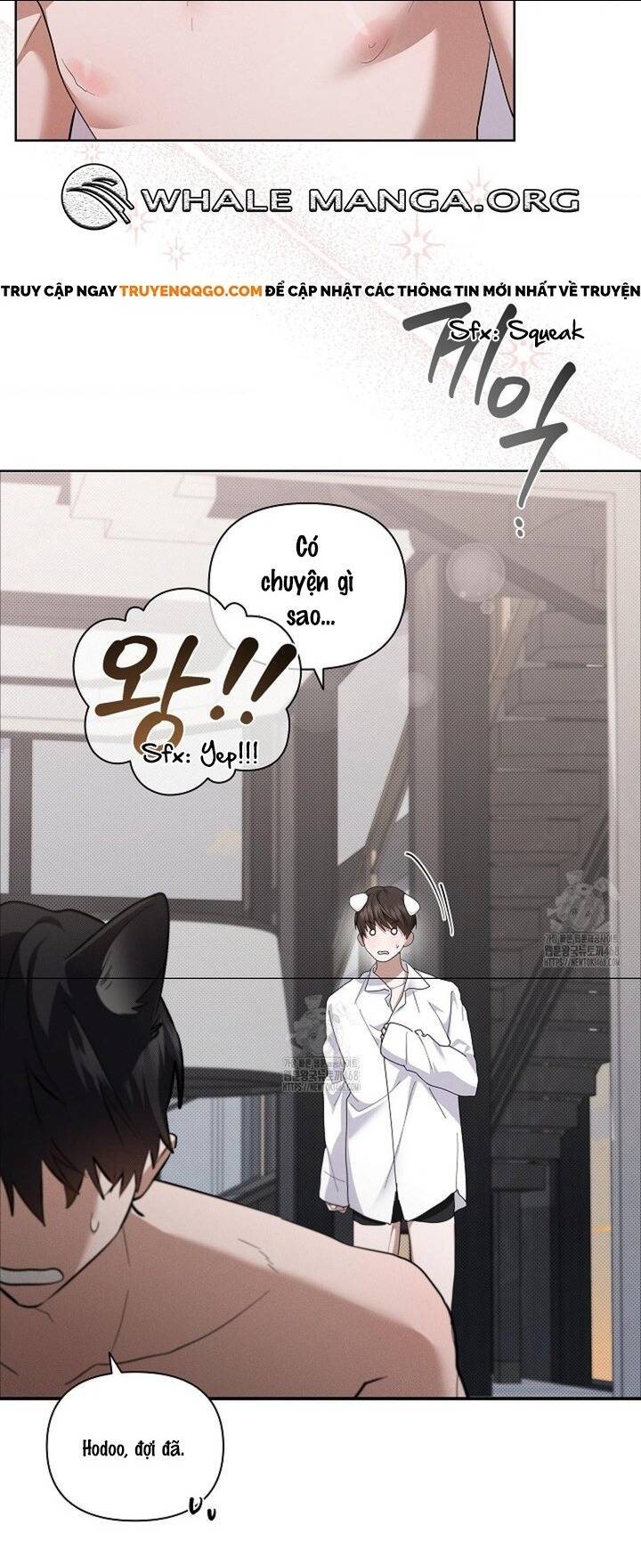 page_43