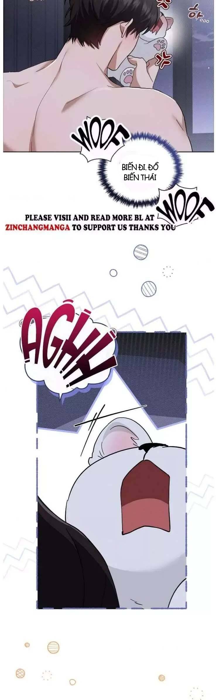 page_17