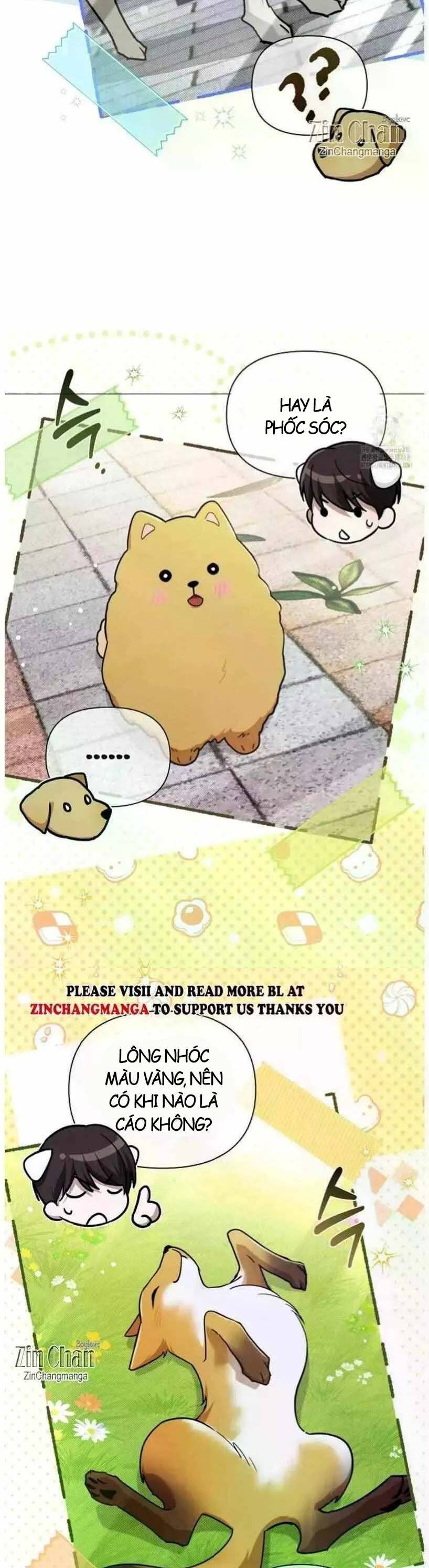 page_19