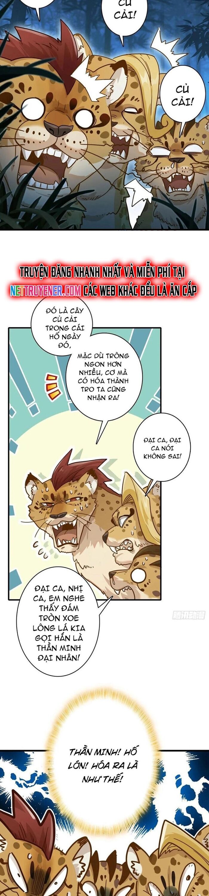 page_17