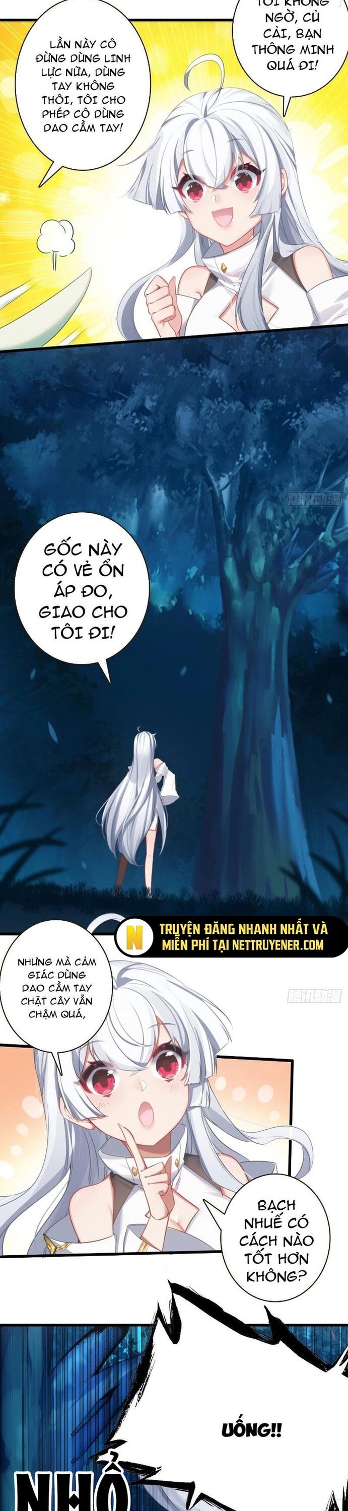 page_19