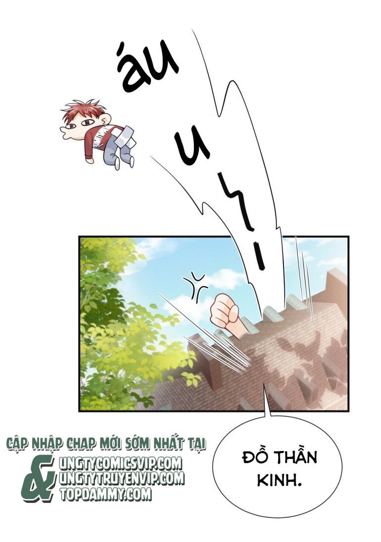 page_29