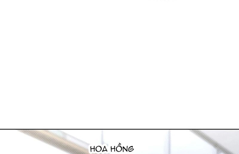 page_38
