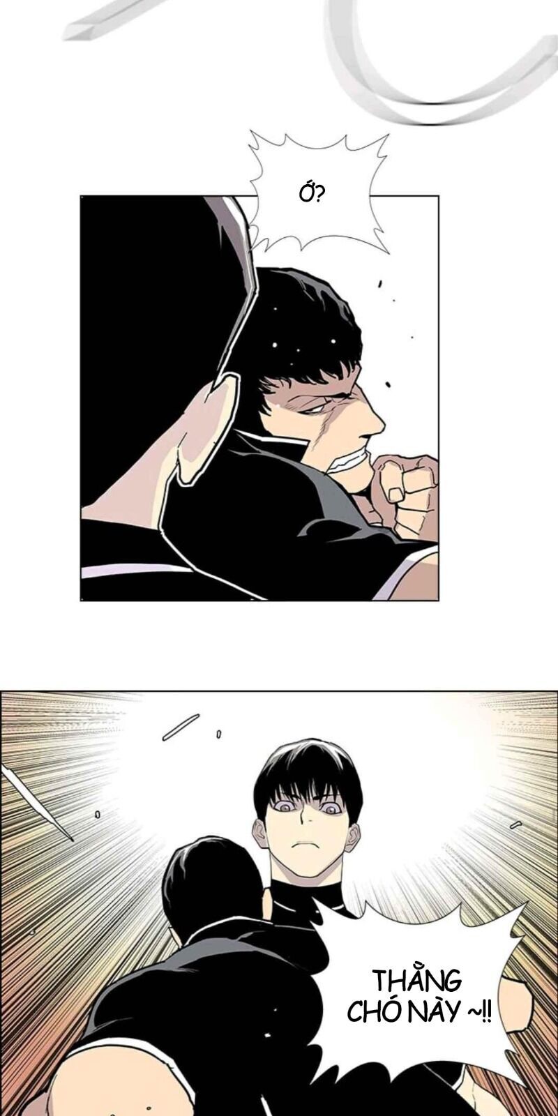 page_29