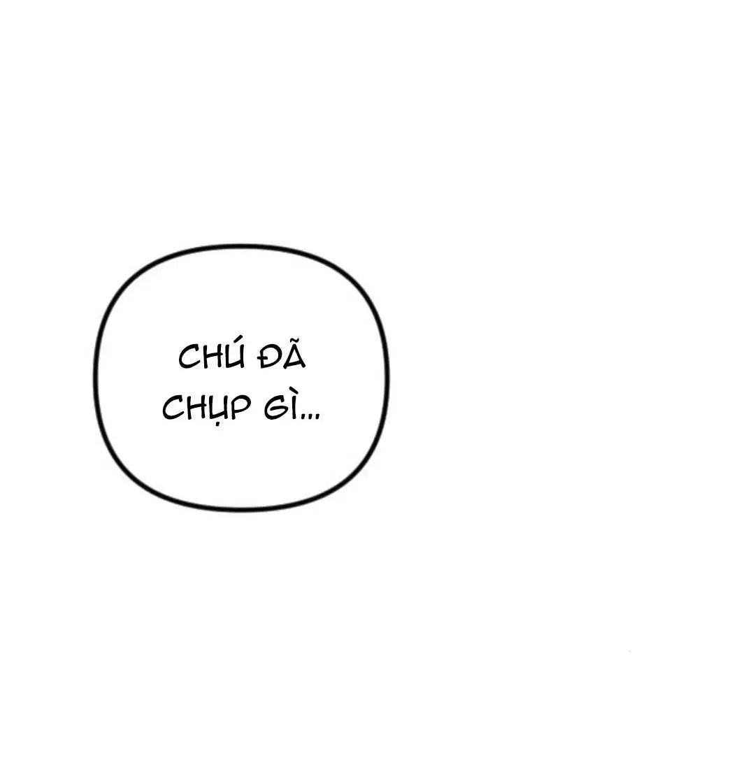 page_91
