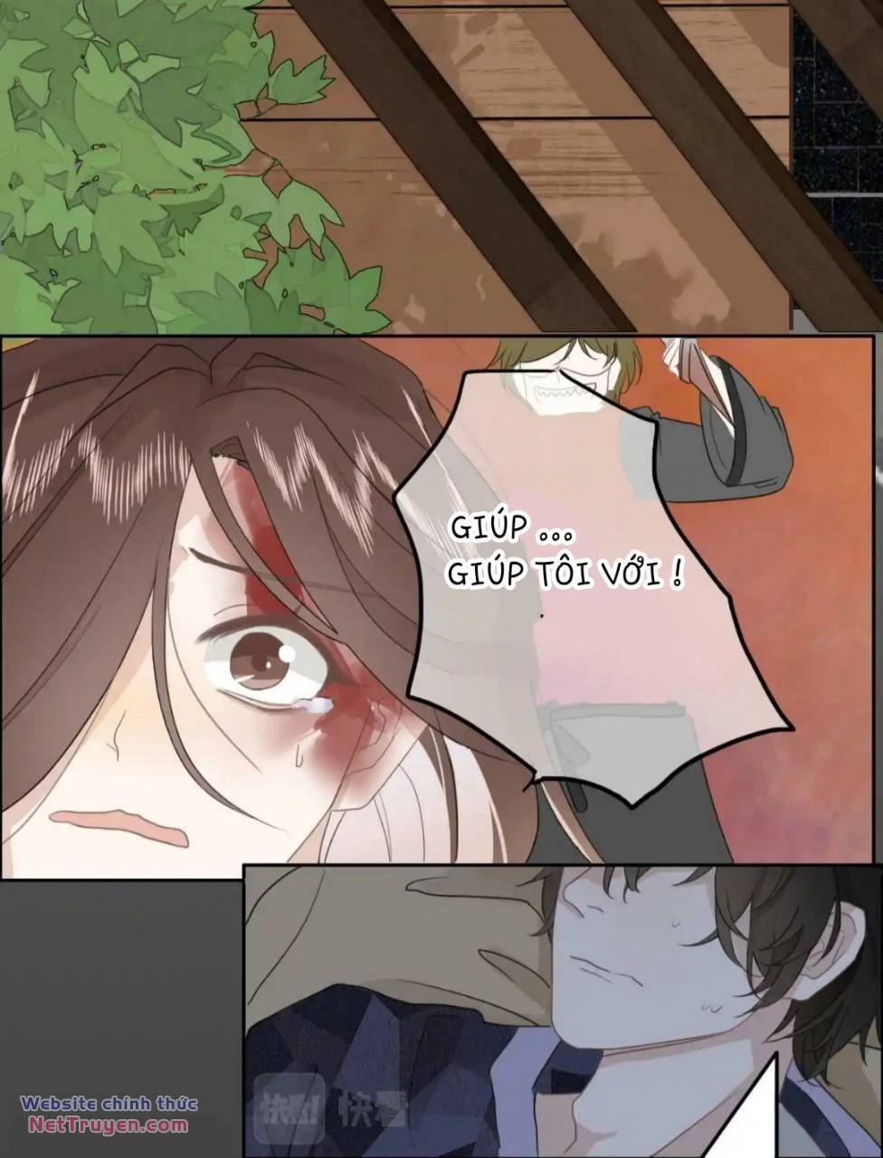 page_6