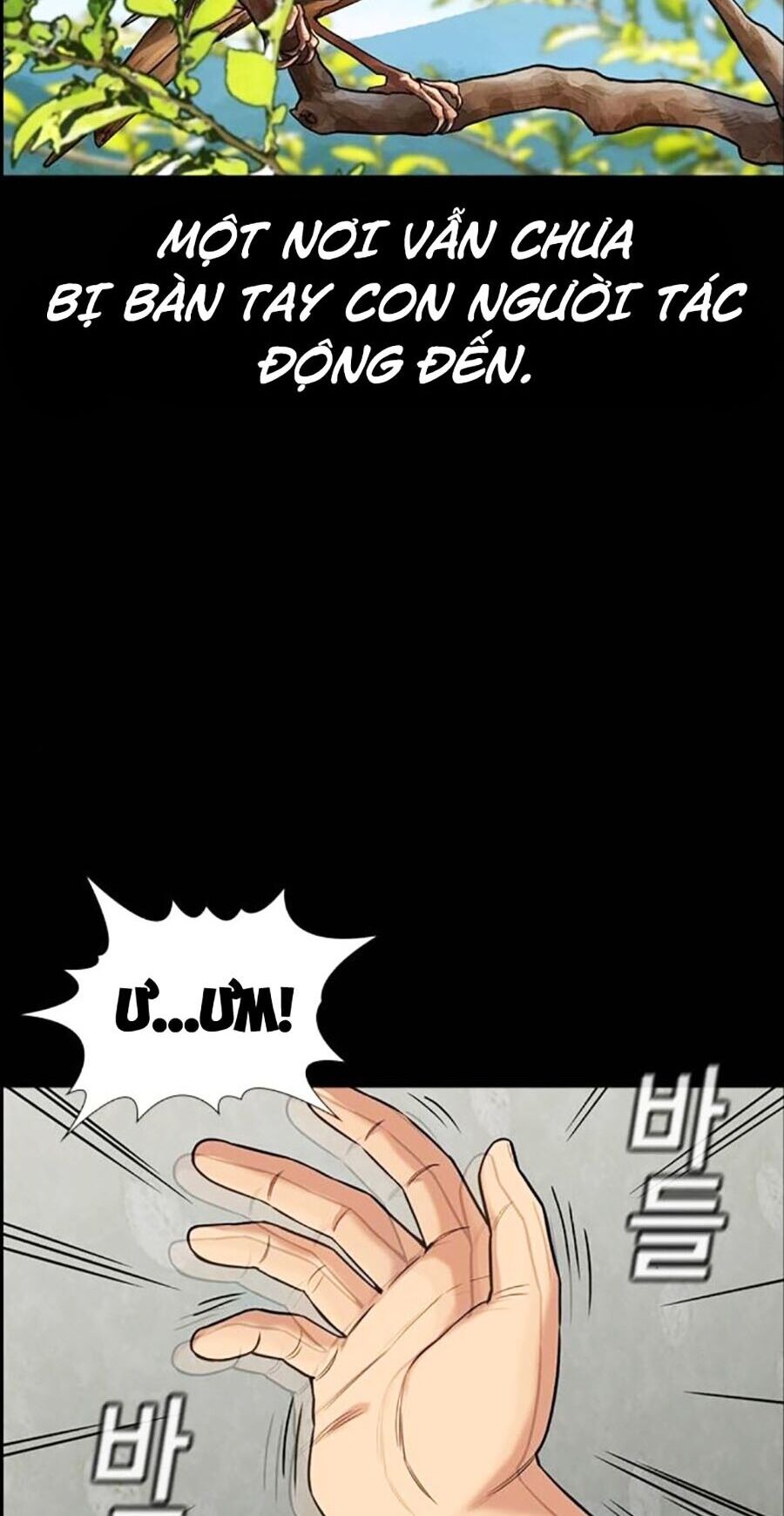 page_17