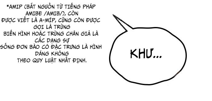 page_19