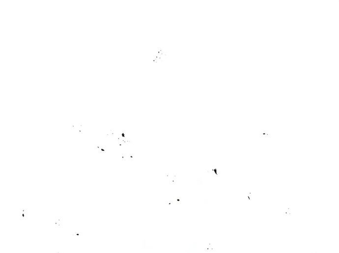 page_100
