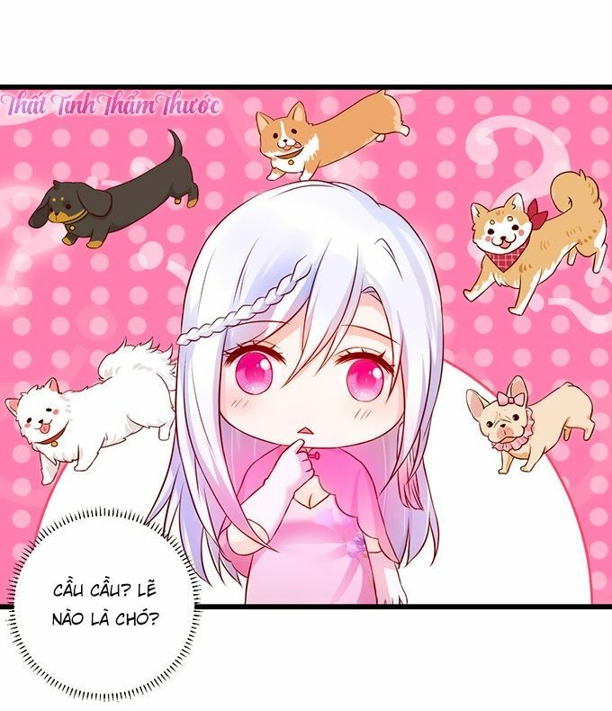page_29