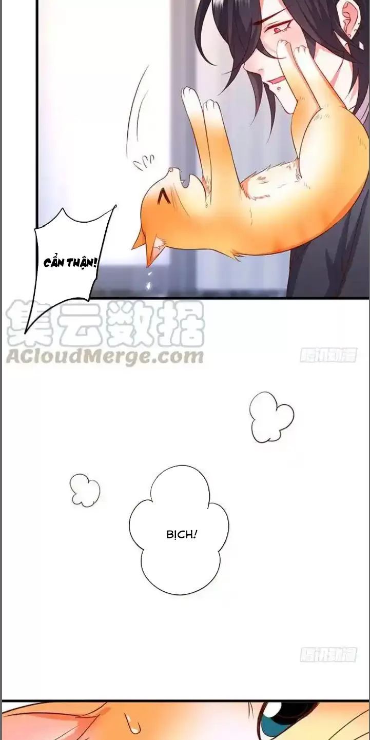 page_19