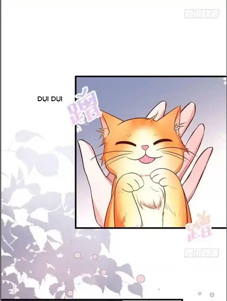 page_21