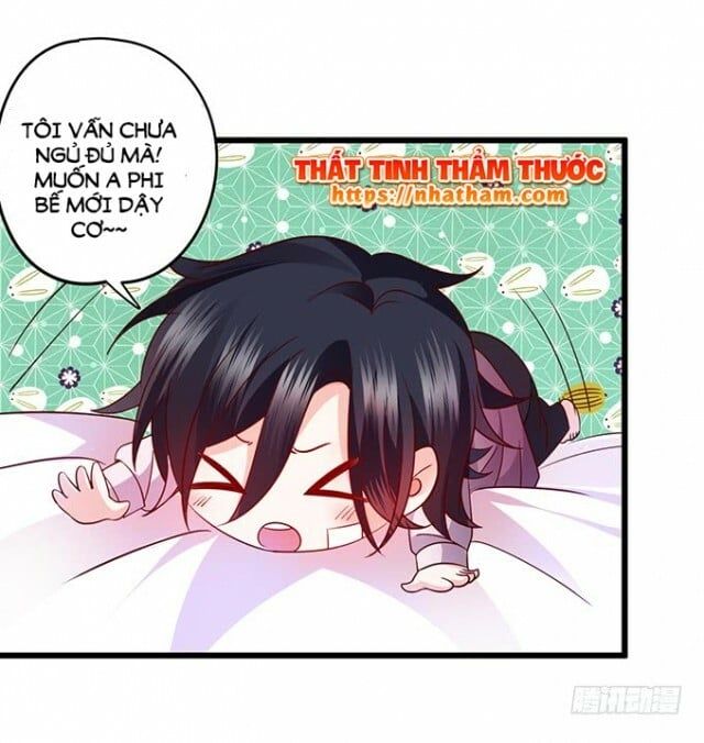 page_41