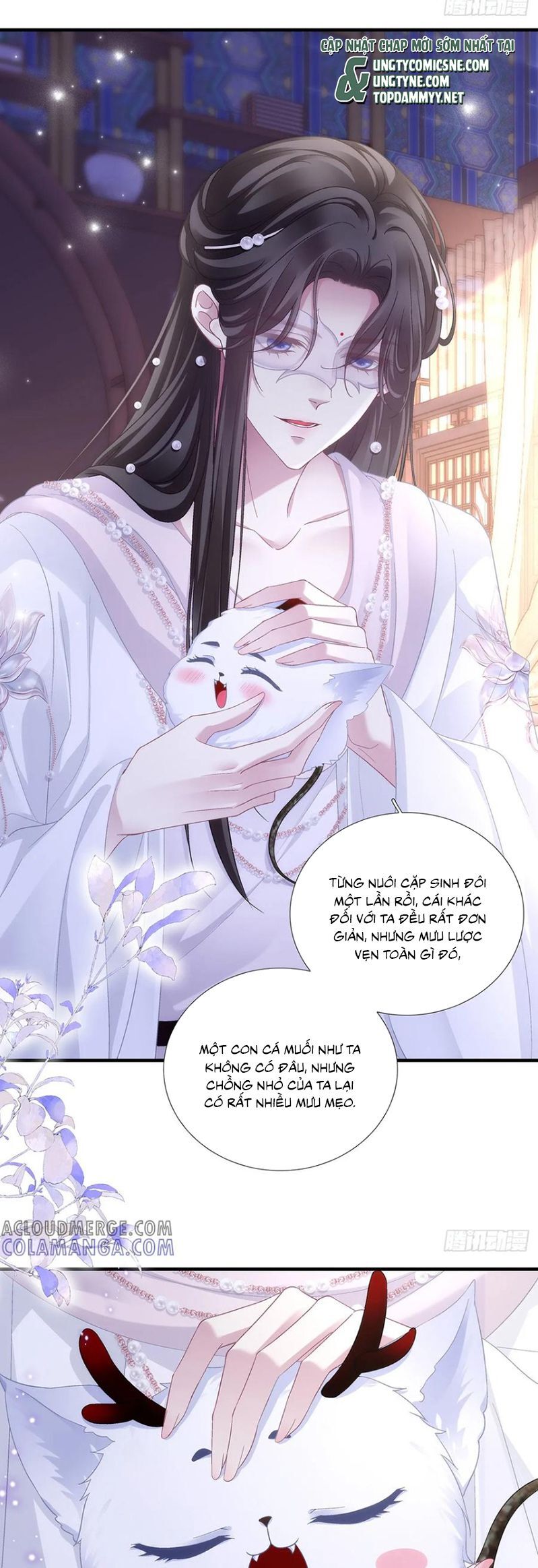 page_6