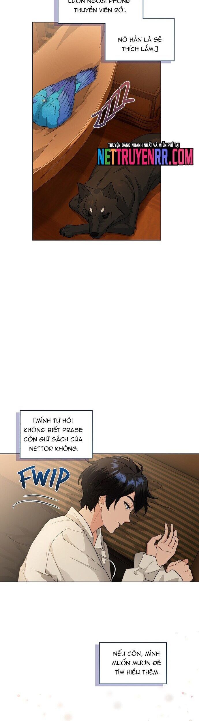 page_21