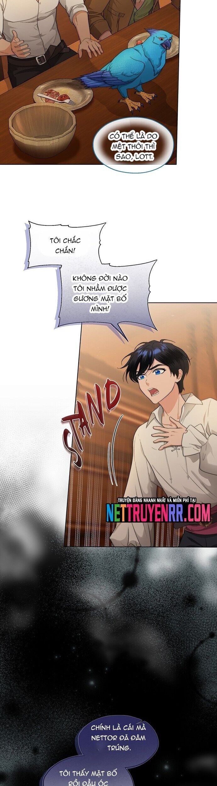 page_29