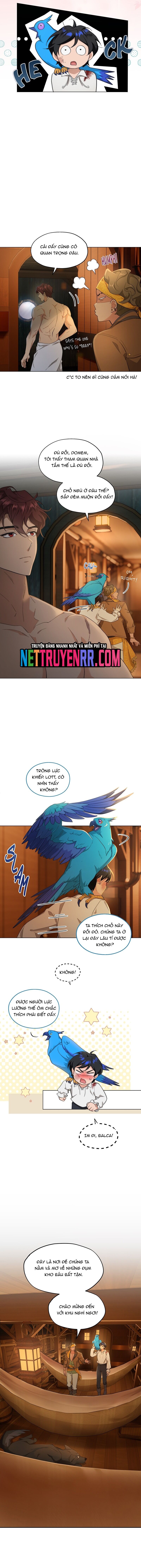 page_8
