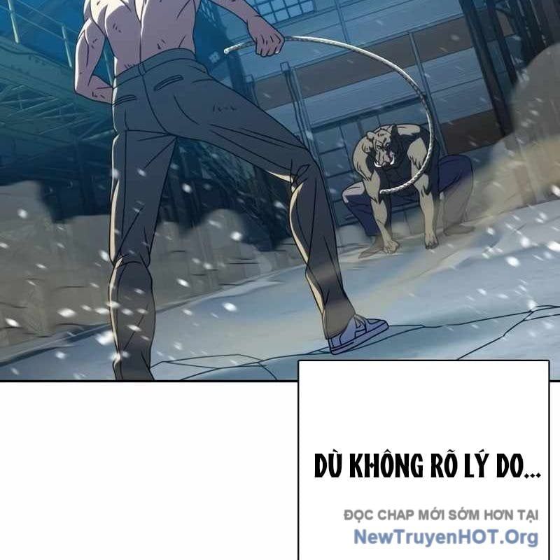 page_81