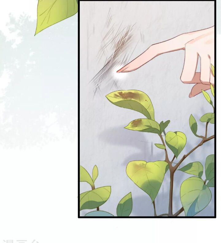 page_13