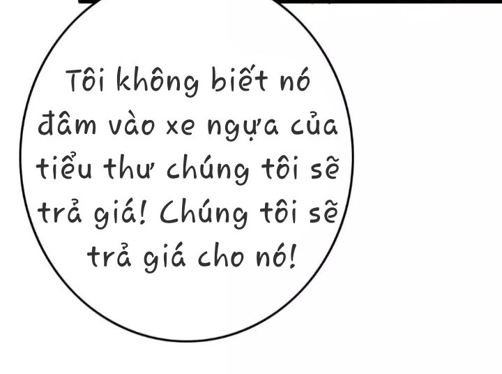 page_33