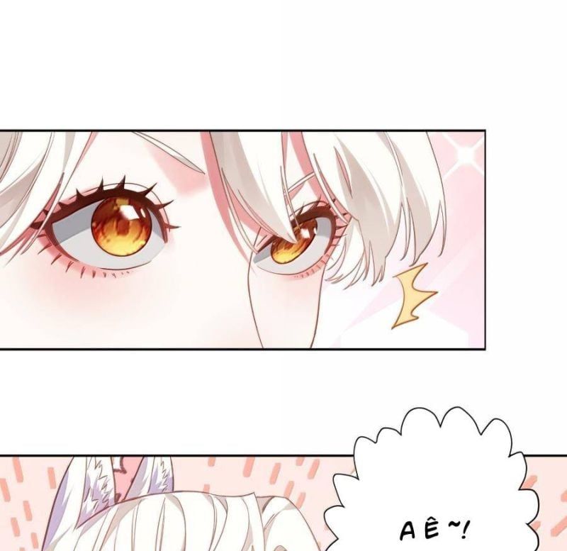 page_65