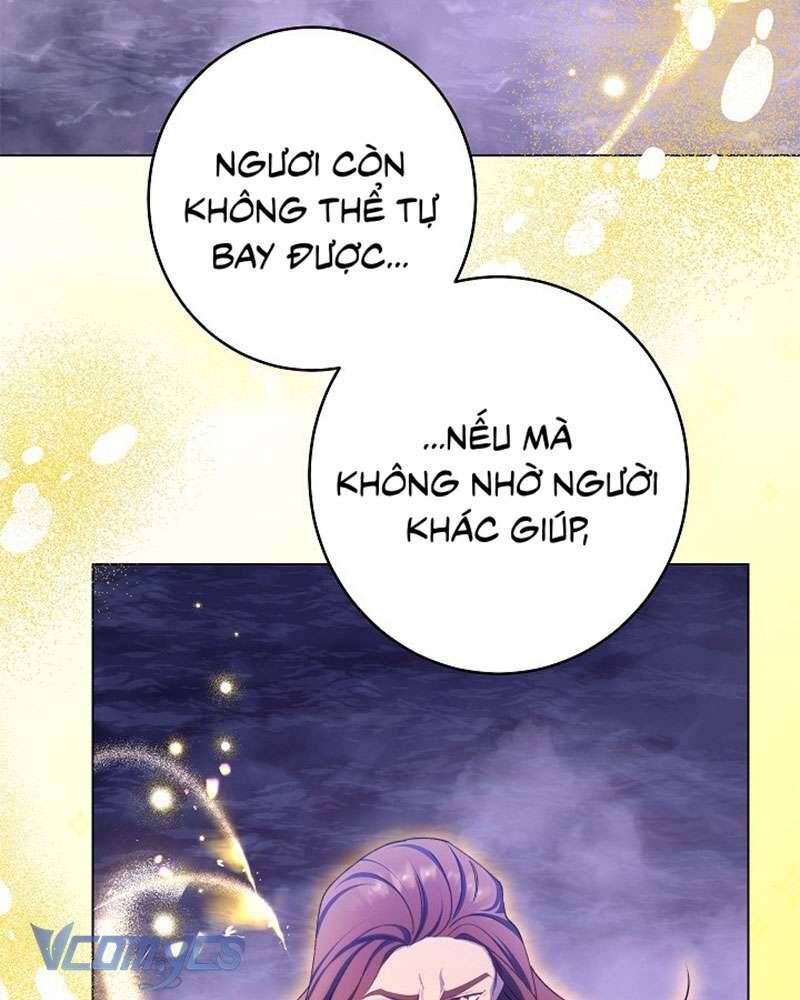page_97