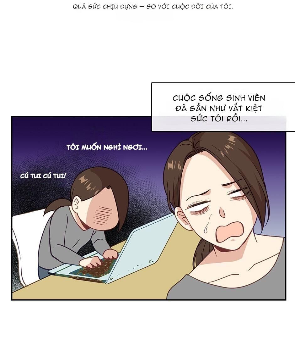 page_19