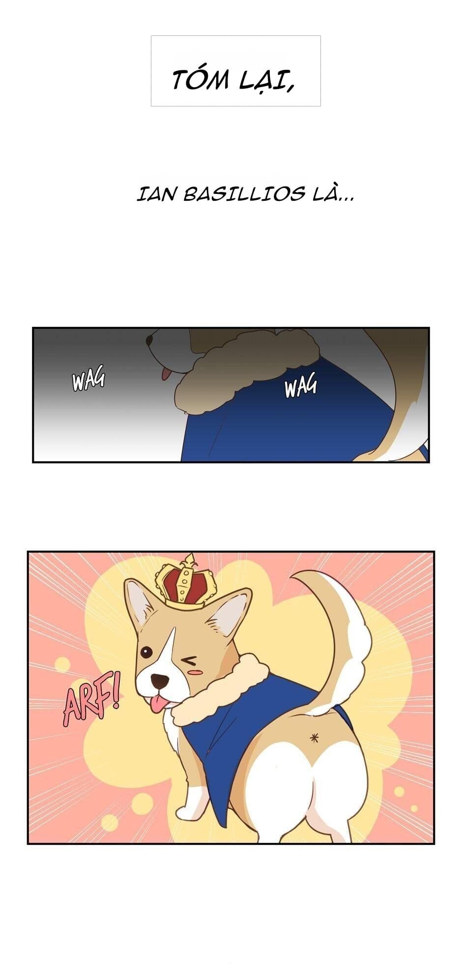 page_19