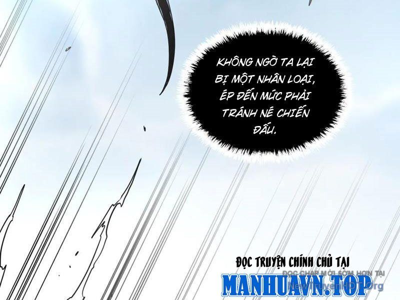 page_29