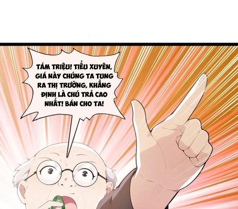 page_7