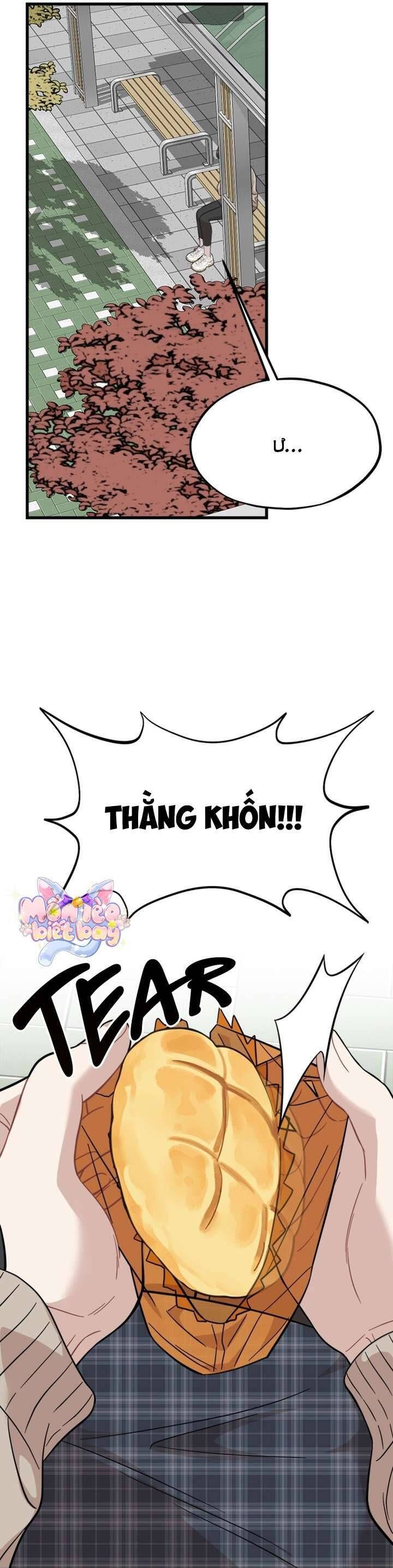 page_12
