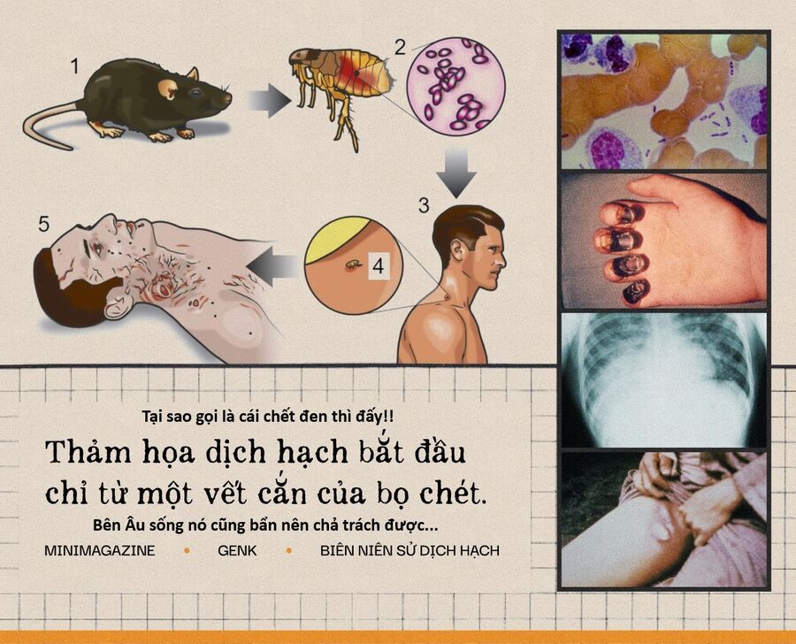 page_17