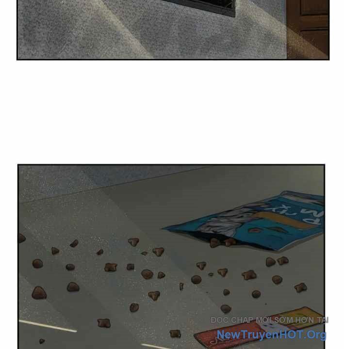 page_64