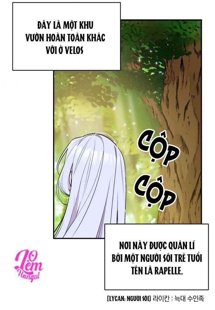 page_51