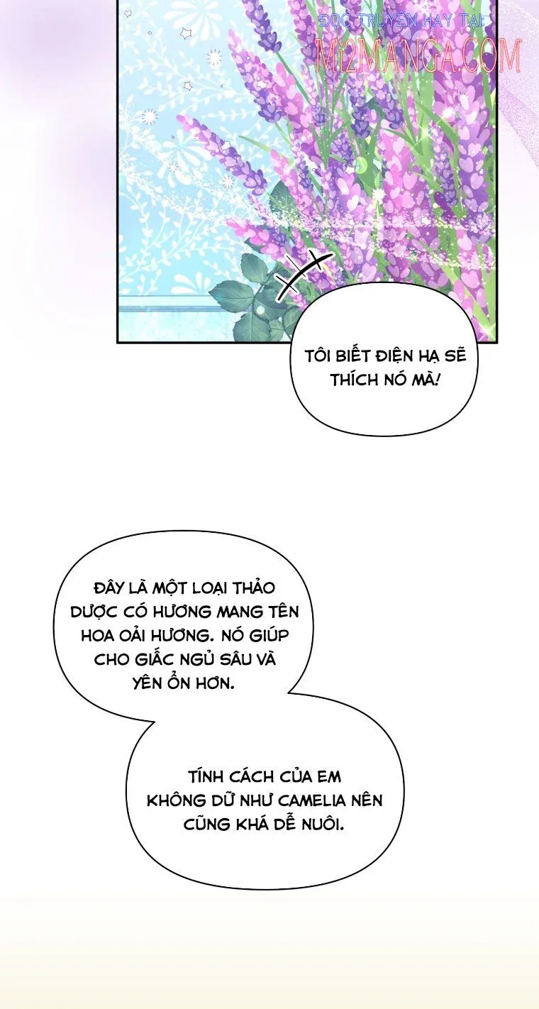 page_19