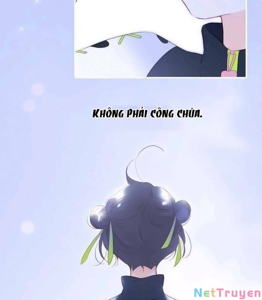 page_40