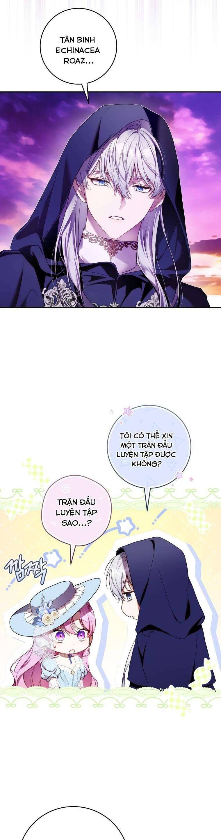 page_27