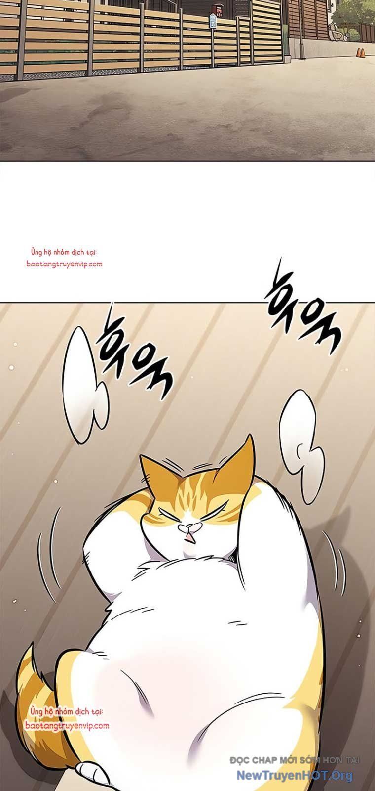 page_51