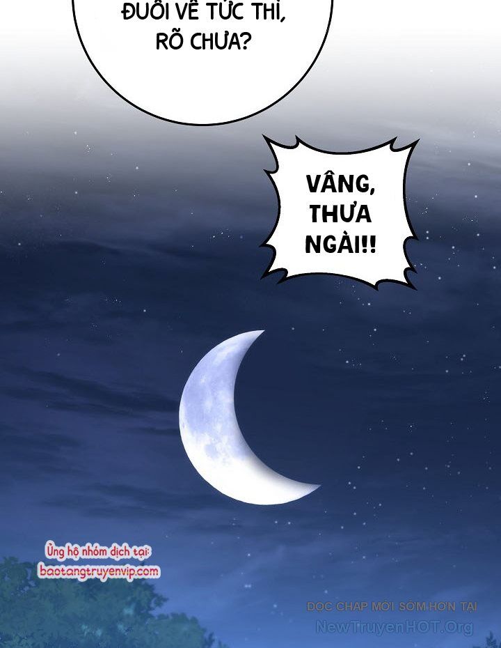 page_146